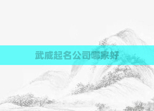 武威起名公司哪家好