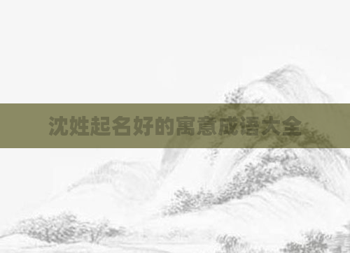 沈姓起名好的寓意成语大全