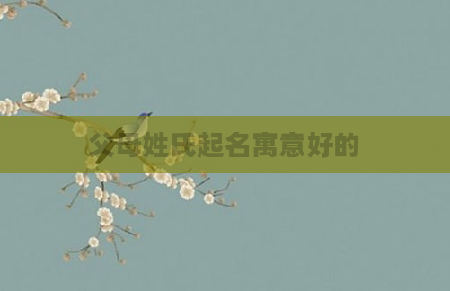 父母姓氏起名寓意好的