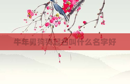 牛年男狗狗起名叫什么名字好