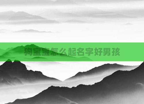 狗宝宝怎么起名字好男孩