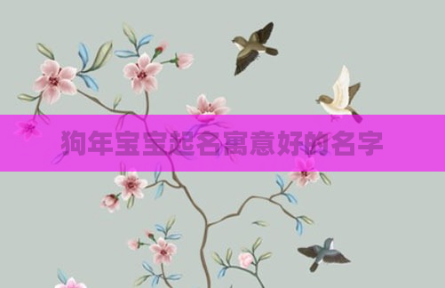 狗年宝宝起名寓意好的名字