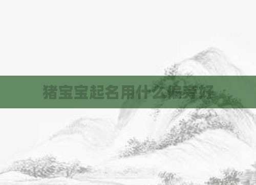 猪宝宝起名用什么偏旁好