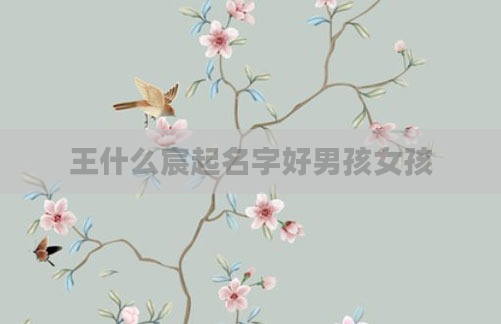 王什么宸起名字好男孩女孩