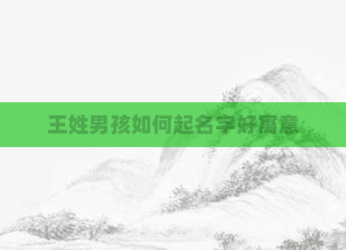 王姓男孩如何起名字好寓意