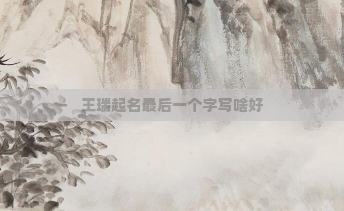 王瑞起名最后一个字写啥好