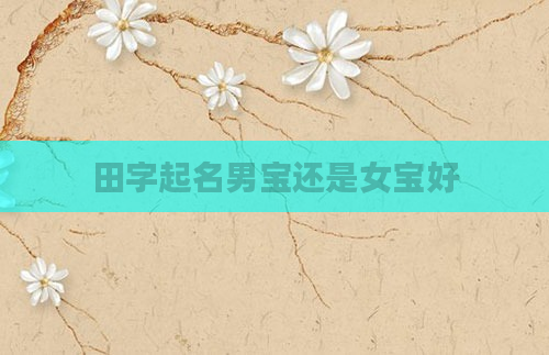 田字起名男宝还是女宝好