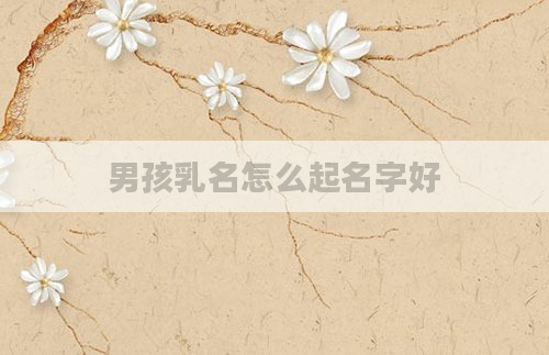 男孩乳名怎么起名字好