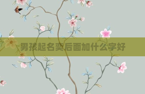 男孩起名奕后面加什么字好