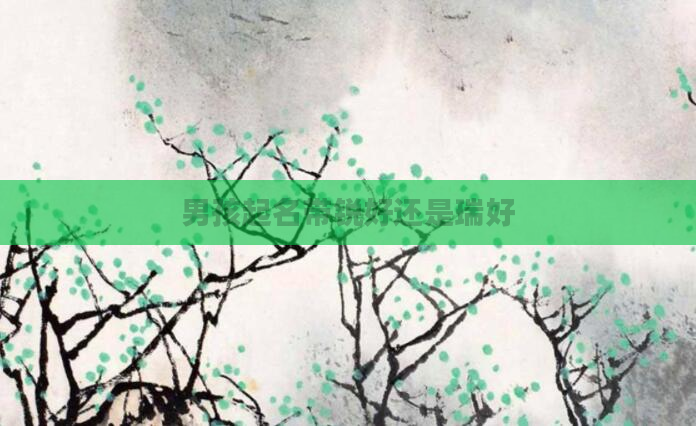 男孩起名带锐好还是瑞好