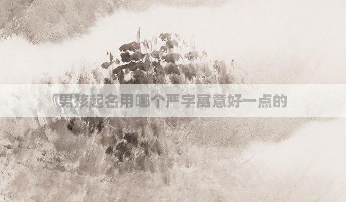 男孩起名用哪个严字寓意好一点的