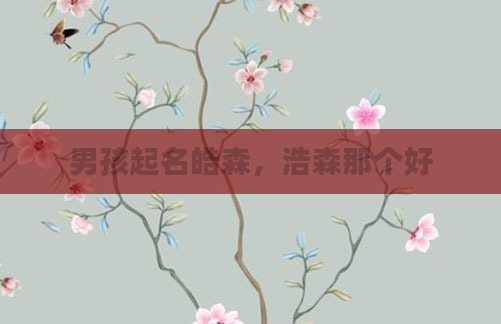 男孩起名皓森，浩森那个好