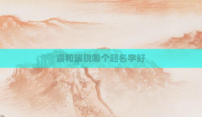 睿和瑞锐哪个起名字好