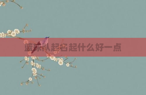 篮球队起名起什么好一点