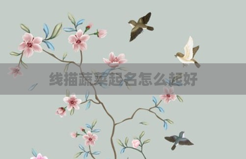 线描蔬菜起名怎么起好