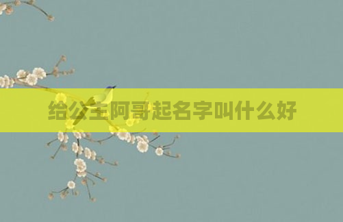 给公主阿哥起名字叫什么好