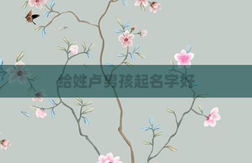 给姓卢男孩起名字好