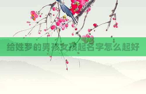 给姓罗的男孩女孩起名字怎么起好