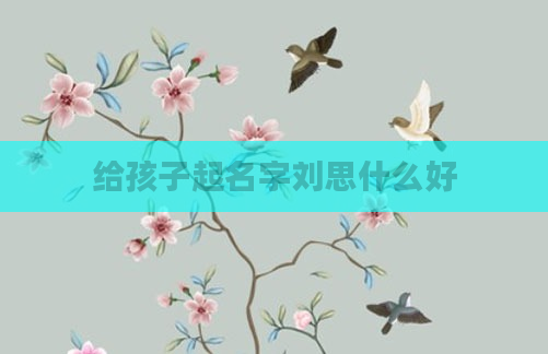 给孩子起名字刘思什么好