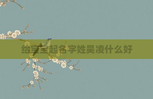 给宝宝起名字姓吴凌什么好