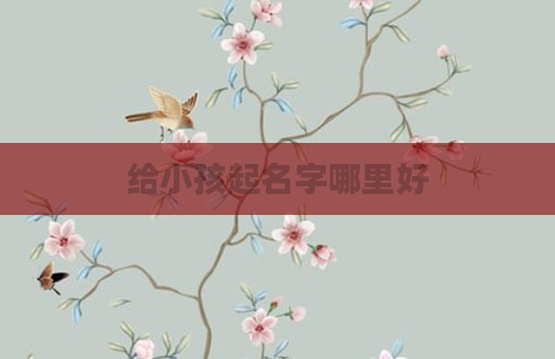 给小孩起名字哪里好