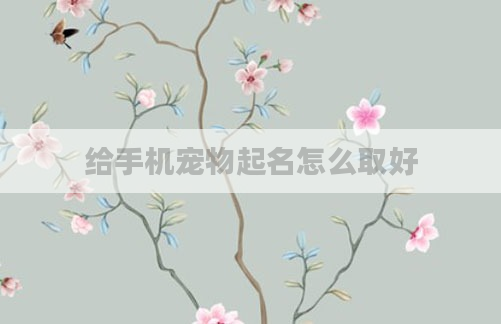 给手机宠物起名怎么取好