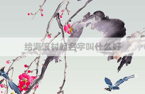 给海浪村起名字叫什么好