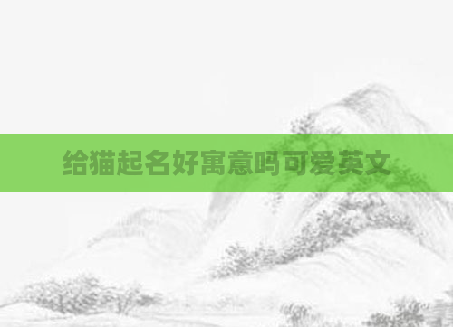 给猫起名好寓意吗可爱英文