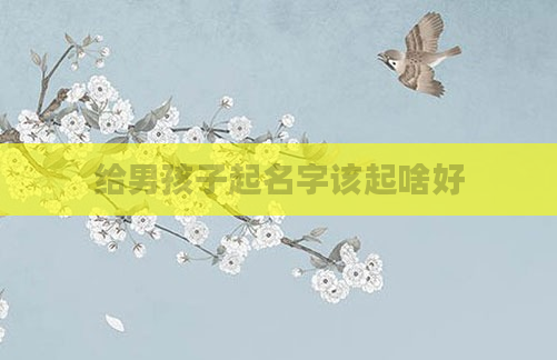 给男孩子起名字该起啥好