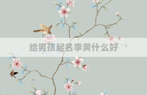 给男孩起名李黄什么好