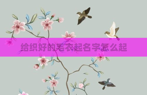 给织好的毛衣起名字怎么起