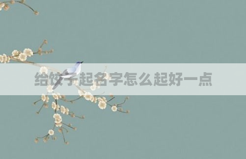 给饺子起名字怎么起好一点