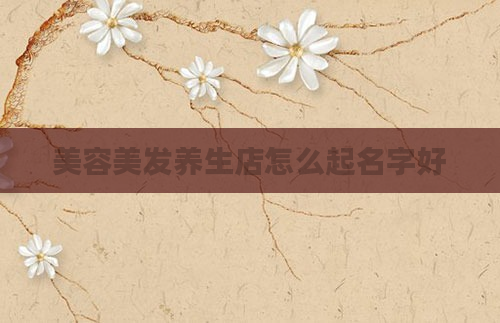 美容美发养生店怎么起名字好
