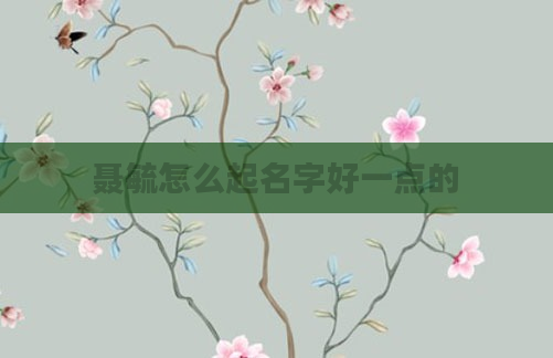 聂毓怎么起名字好一点的