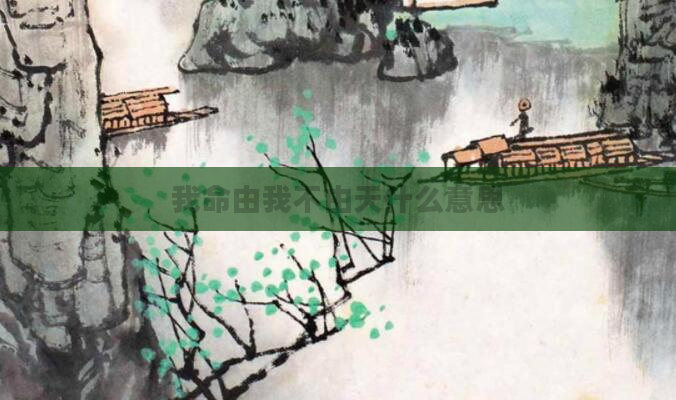 我命由我不由天什么意思