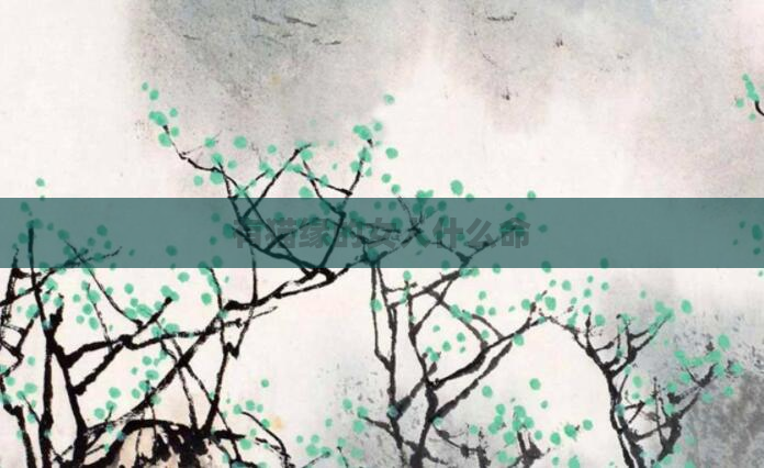 有猫缘的女人什么命