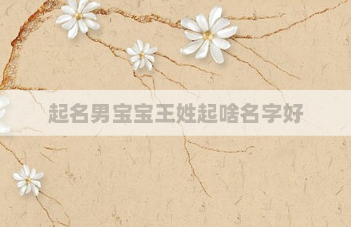 起名男宝宝王姓起啥名字好