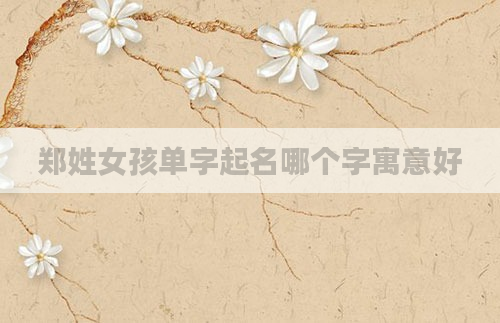郑姓女孩单字起名哪个字寓意好