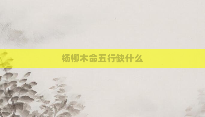 杨柳木命五行缺什么