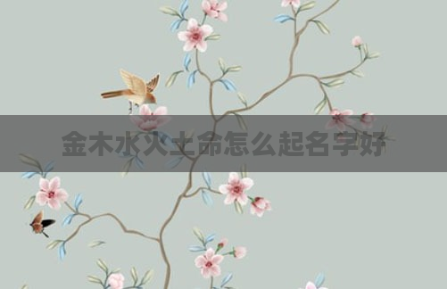 金木水火土命怎么起名字好