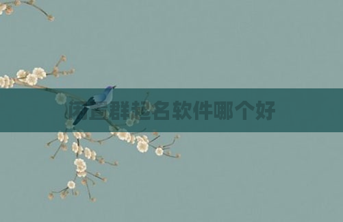 闲置群起名软件哪个好