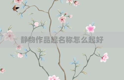 静物作品起名称怎么起好