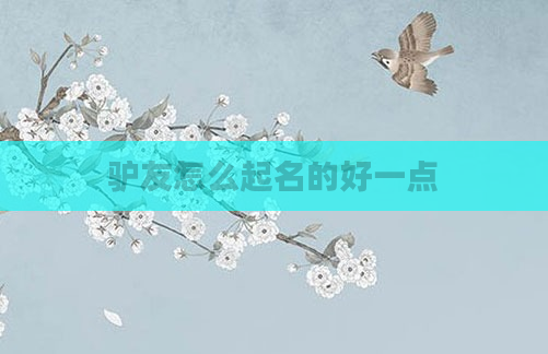 驴友怎么起名的好一点