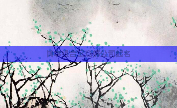 鸿字组合寓意好公司起名