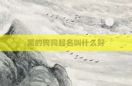 黑的狗狗起名叫什么好