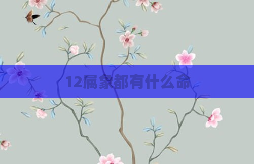 12属象都有什么命