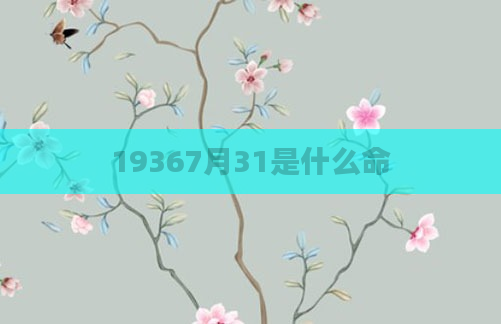 19367月31是什么命
