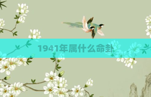 1941年属什么命卦