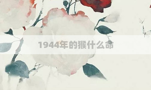 1944年的猴什么命