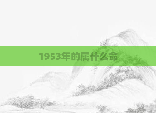 1953年的属什么命